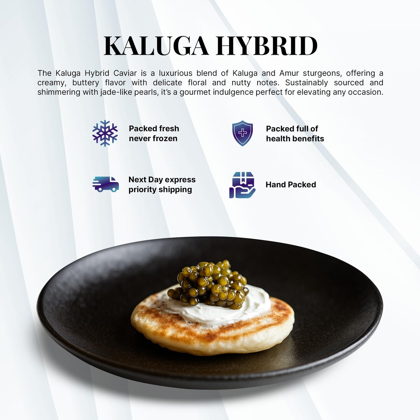 OM Caviar Kaluga Hybrid Caviar 500g - Sustainable River Beluga Alternative - enhanced Large Grain - Rich Buttery Flavor - Farm-Raised Caviar Kaluga  Vacuum-Sealed Fresh