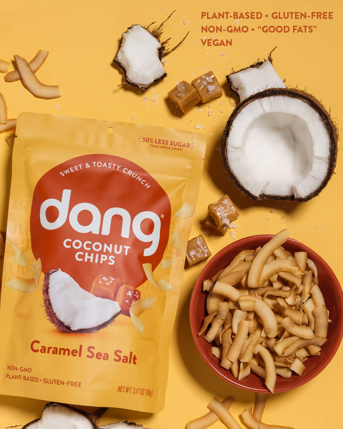 Dang Toasted Coconut Chips | Caramel Sea Salt | 12 Pack | Vegan, Gluten Free, Non Gmo, Healthy Snacks Made With Whole Foods | 3.17 Oz Resealable Bags