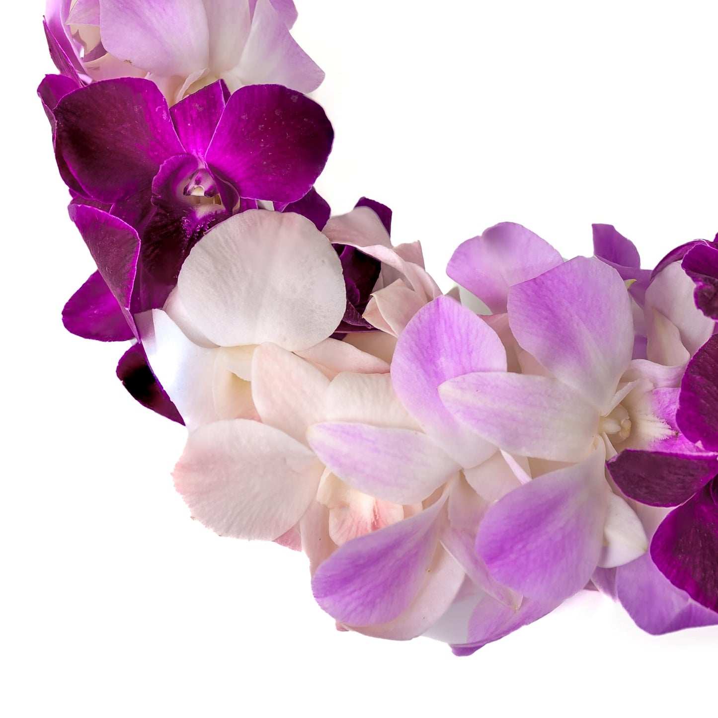 Misteen Gorgeous Orchids: Long-Lasting Leis Made Of Fresh Cut Purple, Lavender, And Pink Orchids, For Graduations, Party Decorat