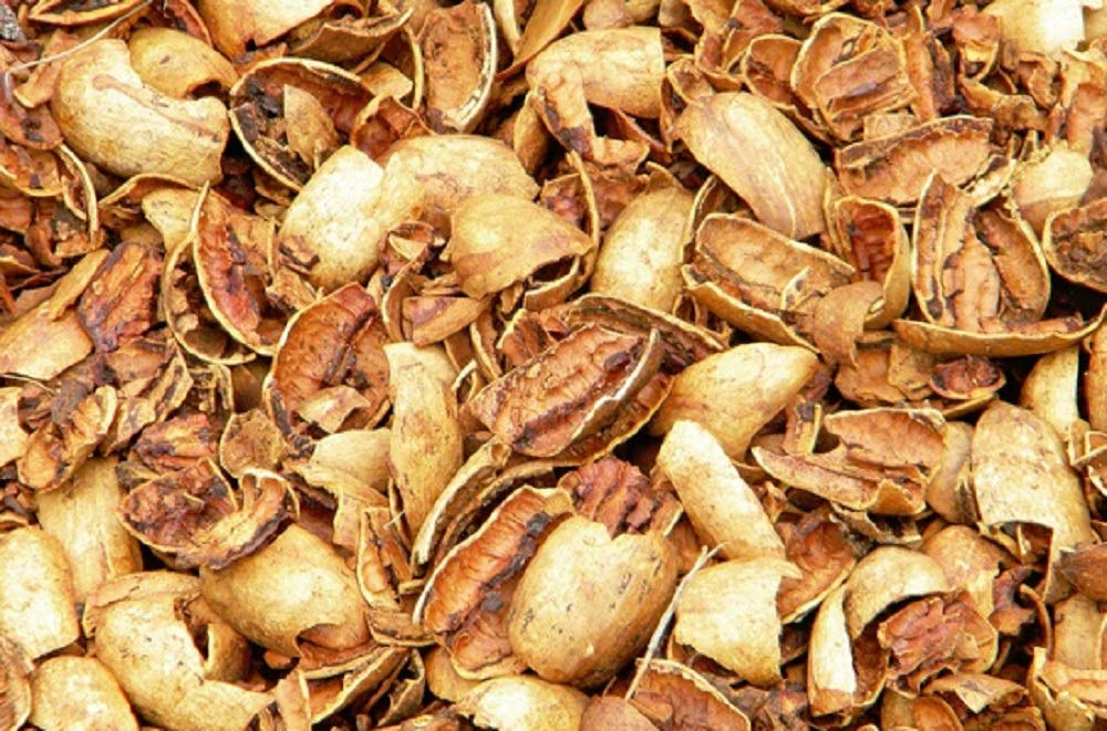 Millican Pecan Pecan Shells for BBQ/Smoker | 20 lb Box | San Saba, Texas