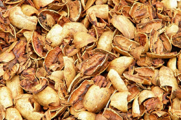 Millican Pecan Pecan Shells for BBQ/Smoker | 20 lb Box | San Saba, Texas