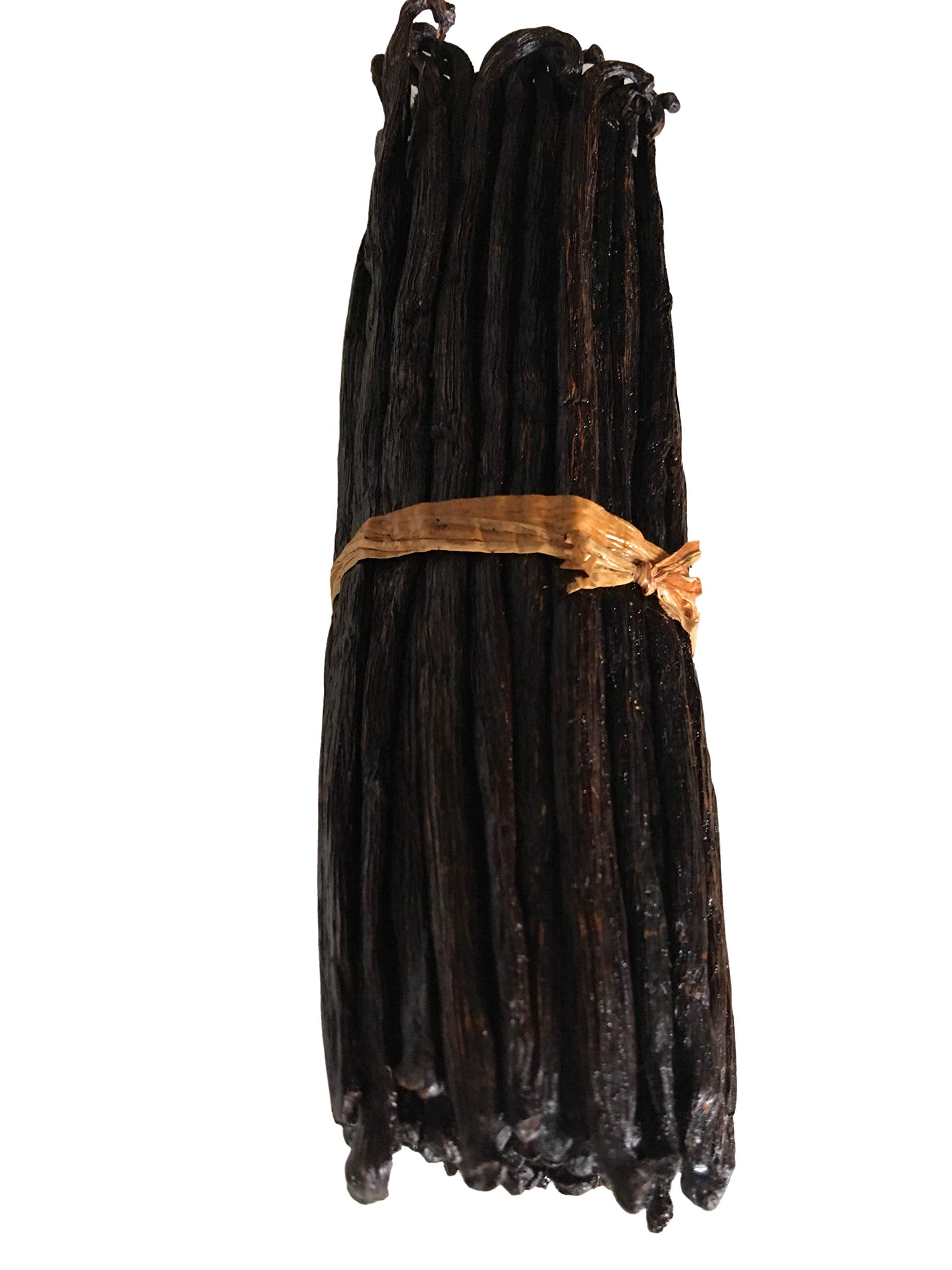 FITNCLEAN VANILLA Organic Madagascar Vanilla Beans Grade B, 10 Count, 5.5-7 Non-GMO Bourbon Pods for Extract and Cooking