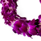 Generic Fresh Cut Orchids Flower Leis, Double Strand, Pink and Purple, Model Sonia, Perfect for Graduations and Party Decorations