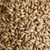 Weyermann Floor Malted Bohemian Pilsner Malt Home Brewing Malt Whole Grain 1lb Bag