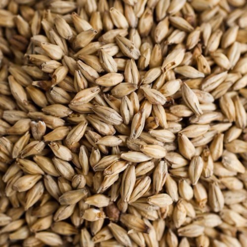 Weyermann Floor Malted Bohemian Pilsner Malt Home Brewing Malt Whole Grain 1lb Bag