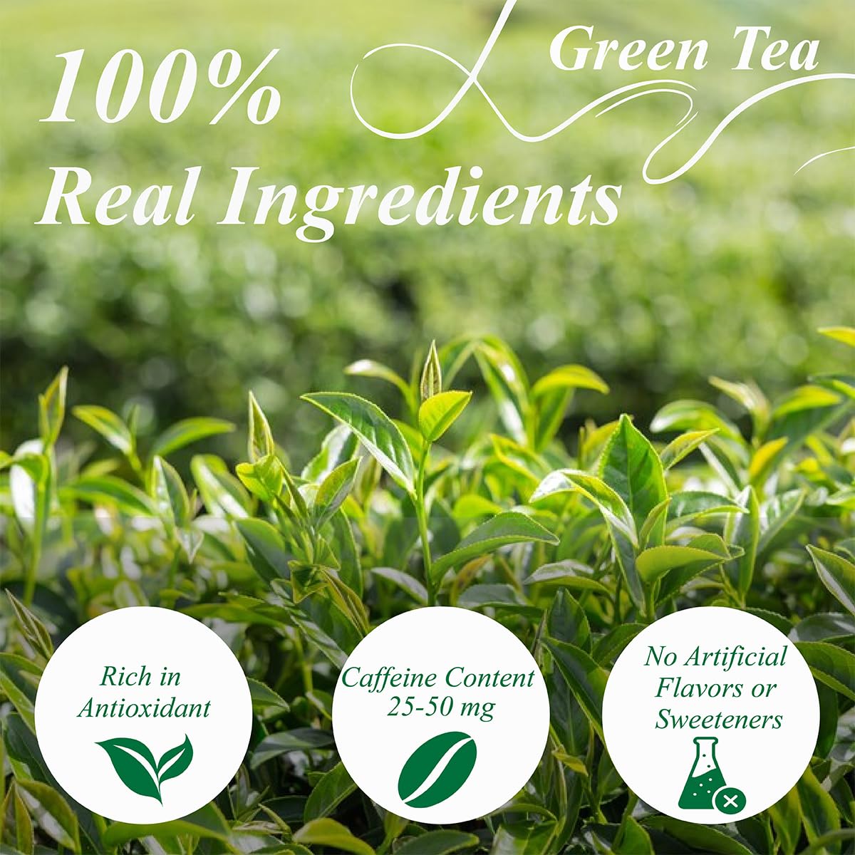 Wt Weetee Green Tea Bags, 100 Count Pure Green Tea, Super Antioxidant | Resealable Kraft Bag | Brew Hot Or Iced