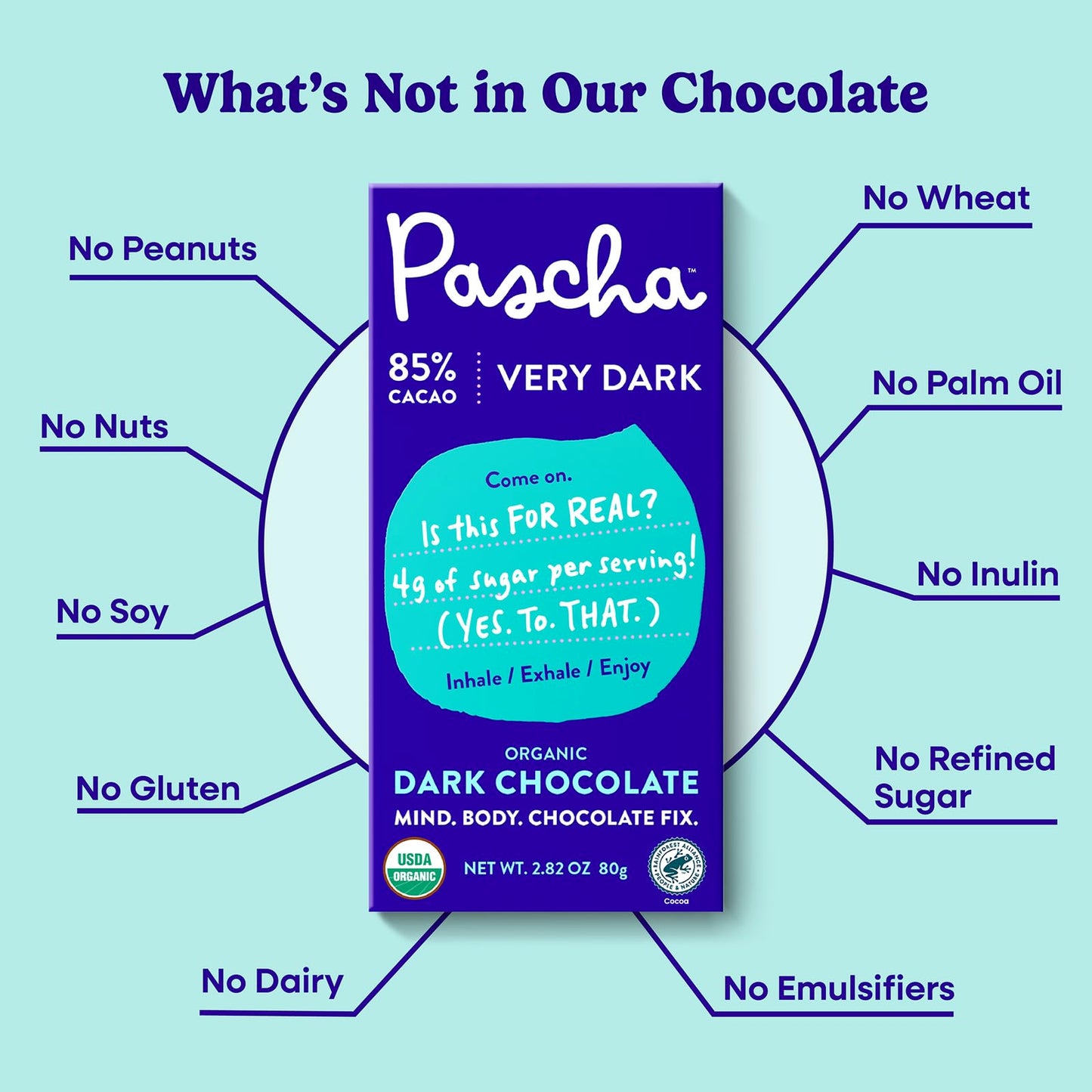 Pascha Organic Dark Chocolate Bars, 85% Cacao, Gluten Free, Non GMO, 2.82 oz (Pack of 10)