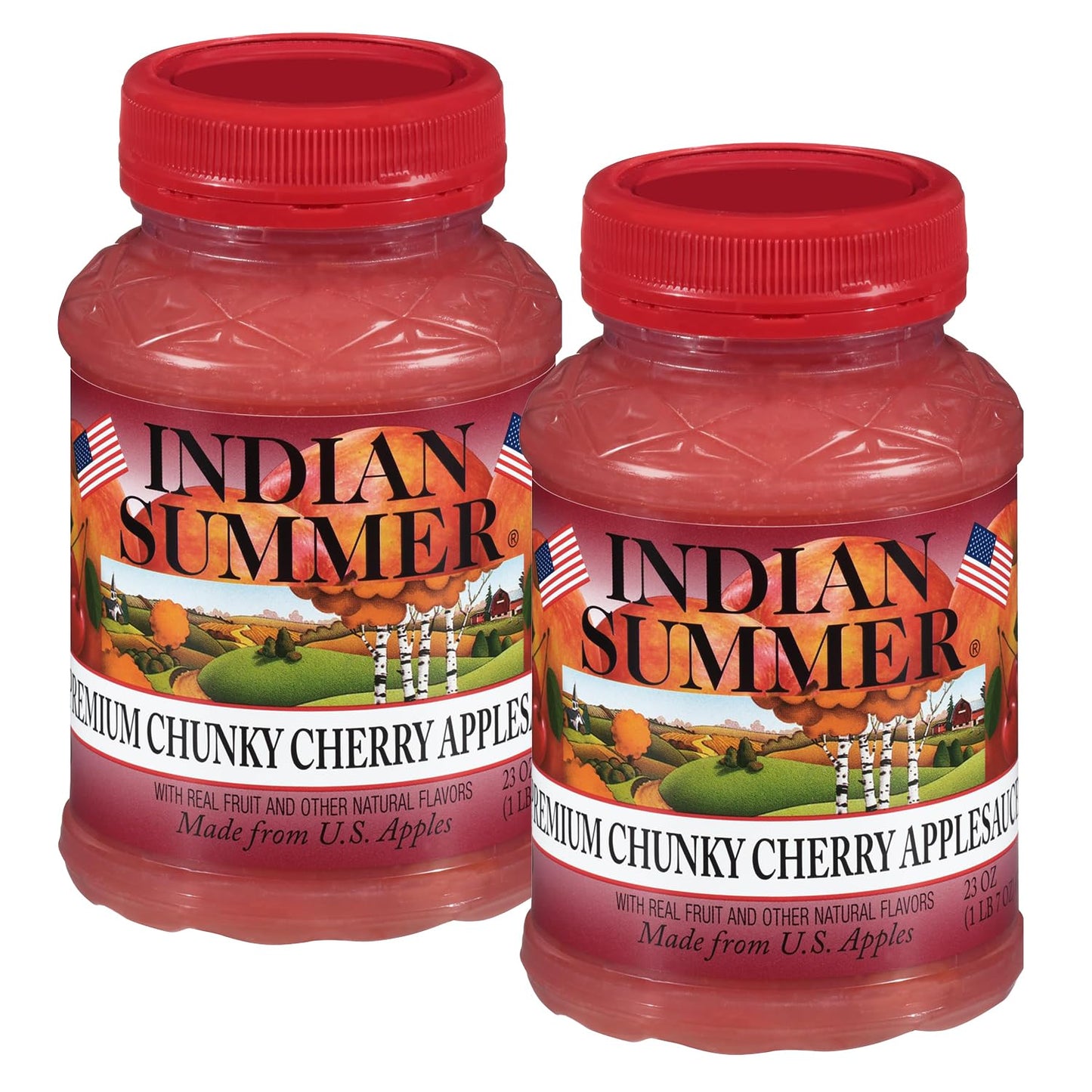 INDIAN SUMMER Chunky Applesauce, Made from US Apples, 23 Ounce (Pack of 2)