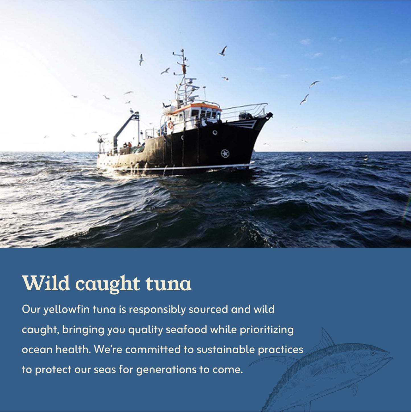 Van Camps Seafood Solid Light Yellowfin Tuna In Olive Oil, 5 Oz. Can (Pack Of 24), Wild Caught Canned Tuna