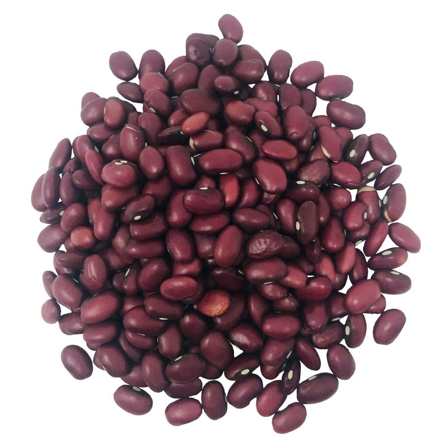 Food to Live Organic Small Red Chili Beans, 3 Pounds - Non-GMO, Kosher, Vegan, Dry, Raw, Sproutable, Non-Irradiated, Bulk, Produ