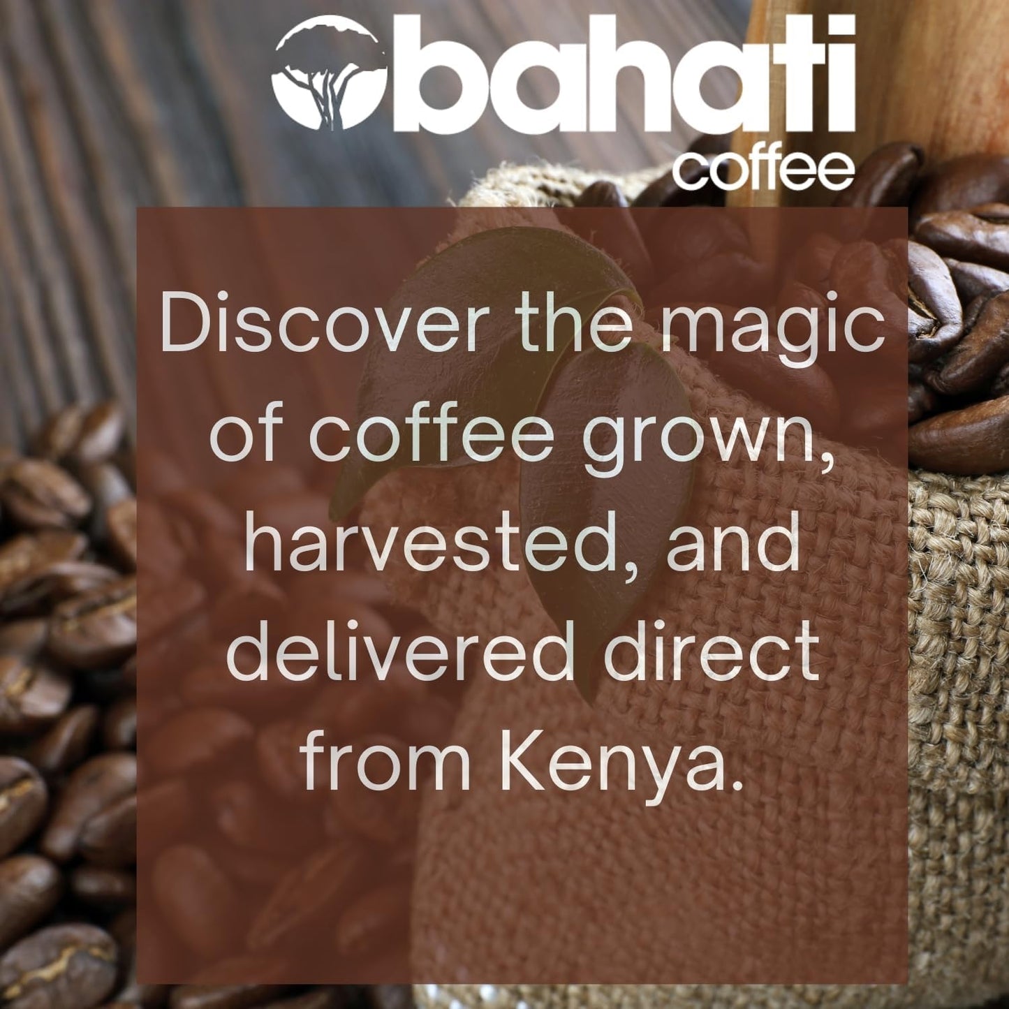Kenya Aa Grade Roasted Arabica Coffee Beans From Great Rift Valley - 100% Pure Arabica Coffee Roasted Beans (Dark Roast Whole, 1
