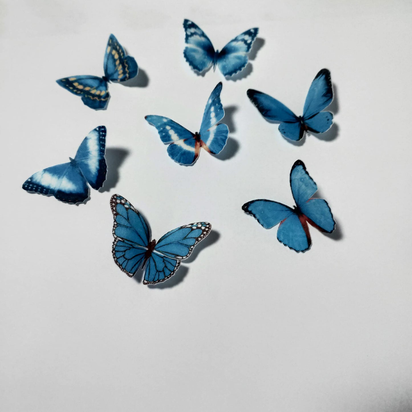 Edible Wafer Paper Butterfly Set 28 Blue Cake Decorations, Cupcake Topping