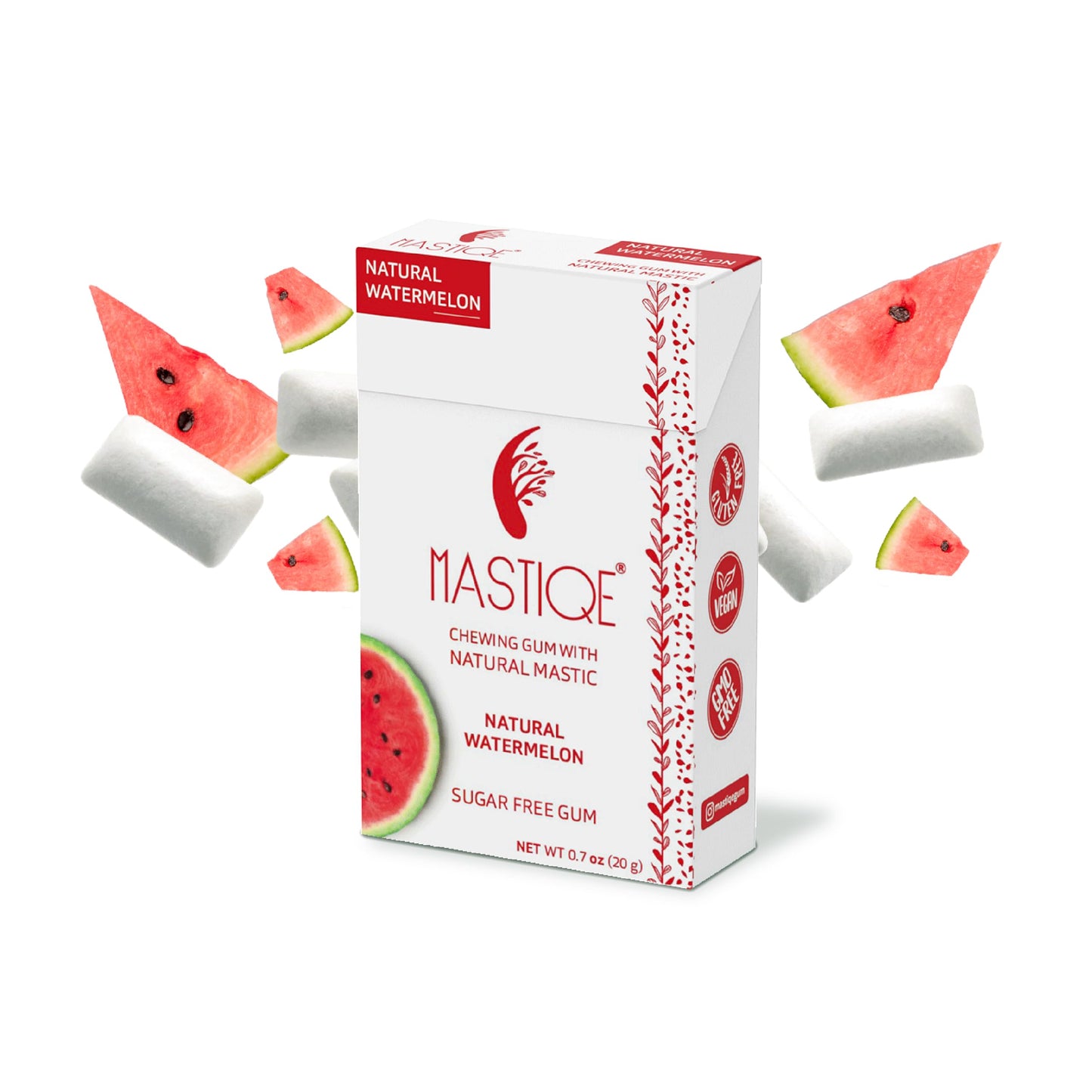 Mastiqe Sugar Free Hard Chewing Gum with Natural Mastic (Variety Pack, 12 Count)