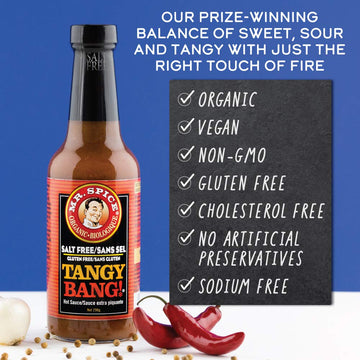 Mr. Spice Organic - Salt Free Sauce (Tangy Bang, Single)