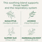Traditional Medicinals Throat Coat Tea, Eucalyptus & Slippery Elm, 16 Tea Bags, Caffeine-Free, Non-GMO, Compostable
