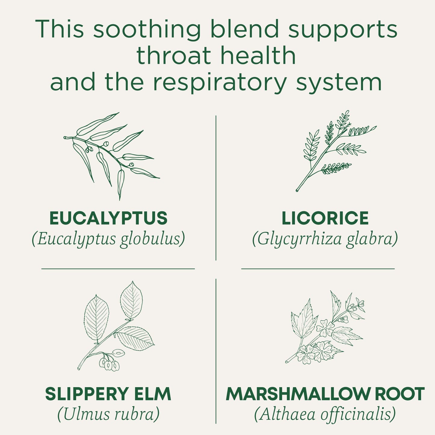 Traditional Medicinals Throat Coat Tea, Eucalyptus & Slippery Elm, 16 Tea Bags, Caffeine-Free, Non-GMO, Compostable