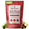 TrueSeaMoss Sea Moss & Apple Cider Vinegar Gummies - 60 Count - Vegan, Non-GMO, Apple Flavor - Model TSM-341-GMB1