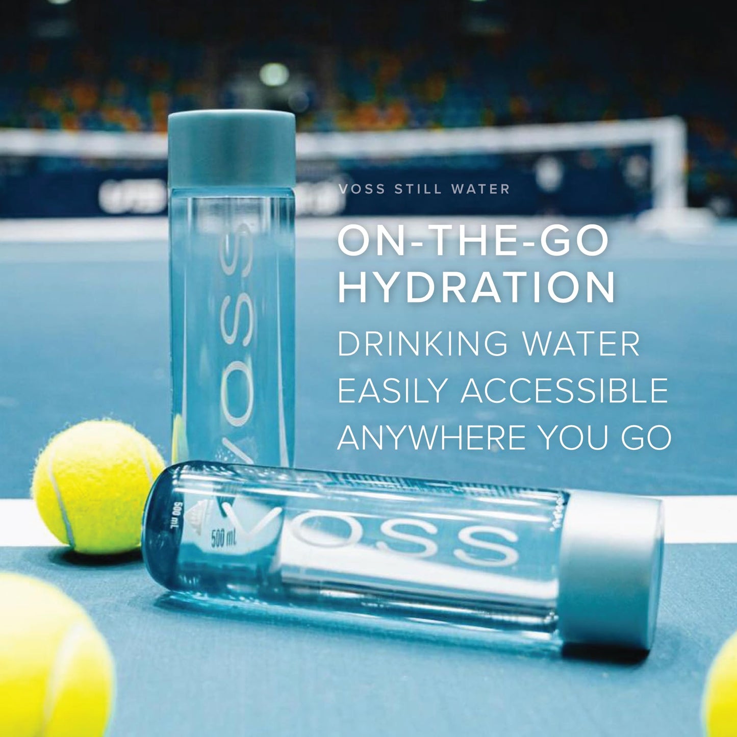VOSS Artesian water (Still) Bottle,16.91 Fl Oz (Pack of 24)