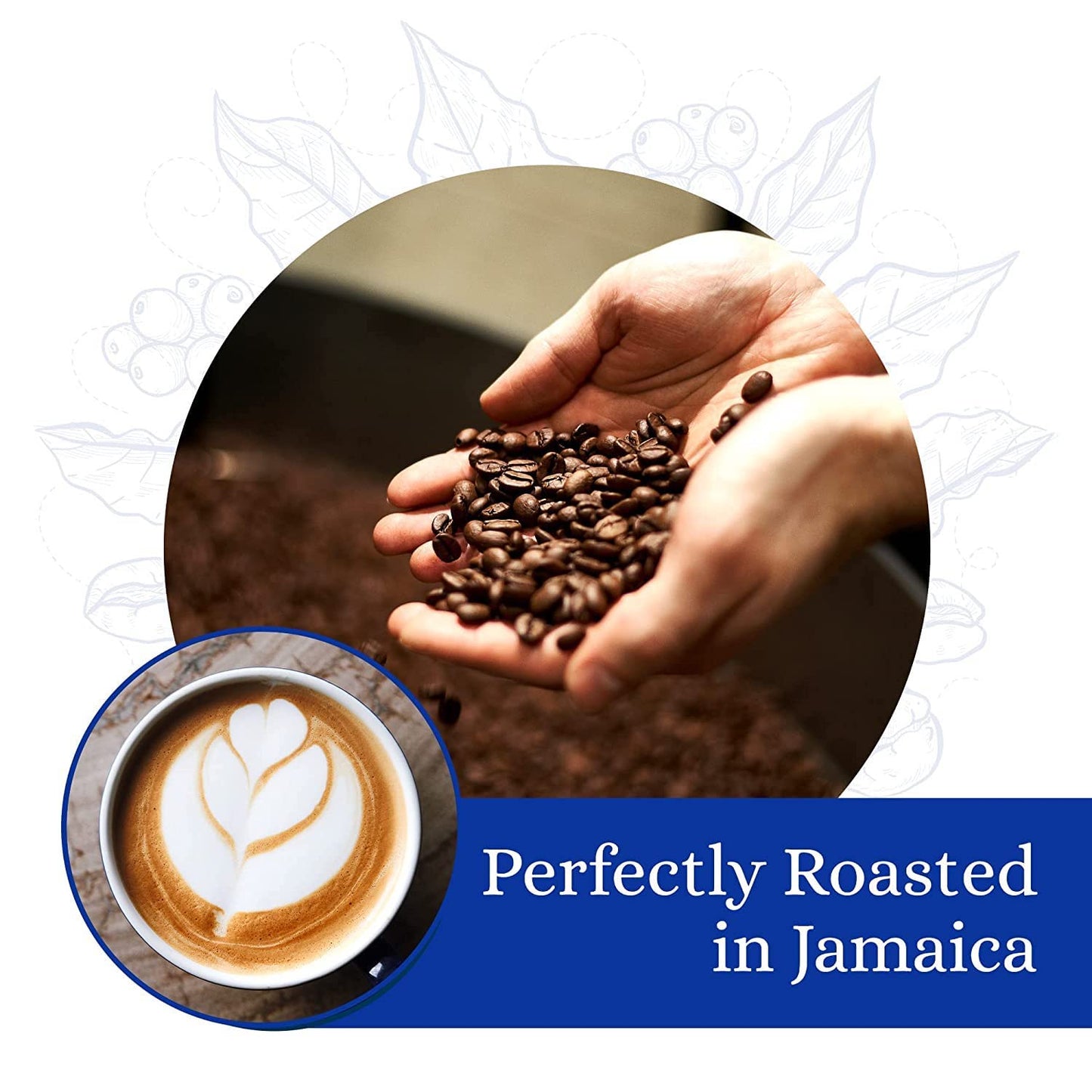 Cafe Blue - 100% Authentic Jamaica Blue Mountain Coffee from Clifton Mount Estate  Medium Roast Whole Bean Coffee  enhanced Arabica Coffee Beans  Coffee Bag of 16 Ounces (1 Pound  454 Grams)