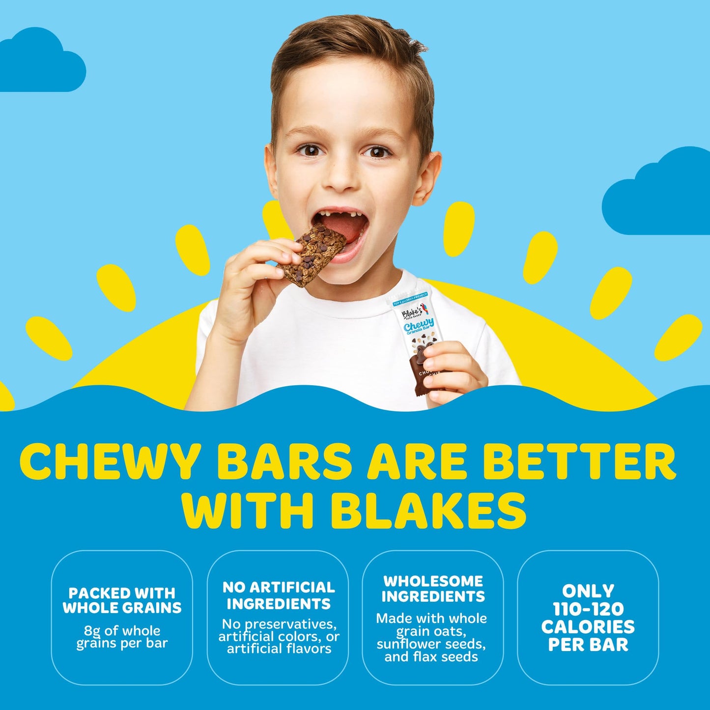 Blakes Seed Based Chewy Granola Bars Variety Pack, Vegan, Gluten Free, Nut Free, 24 Count