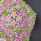 Homankit Edible Flowers for Cake Decorating Pink Flowers Sprinkles White Green Sugar Pearls Baking Cake Cupcake Toppers Cookie D