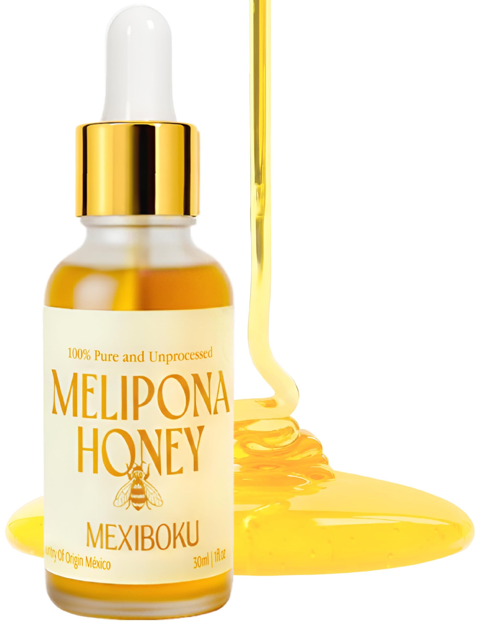 Jimerito Stingless Bee Melipona Honey Drops 30ml - 100% Pure and Unprocessed - Ancestral Mayan Honey from Yucat  n Peninsula
