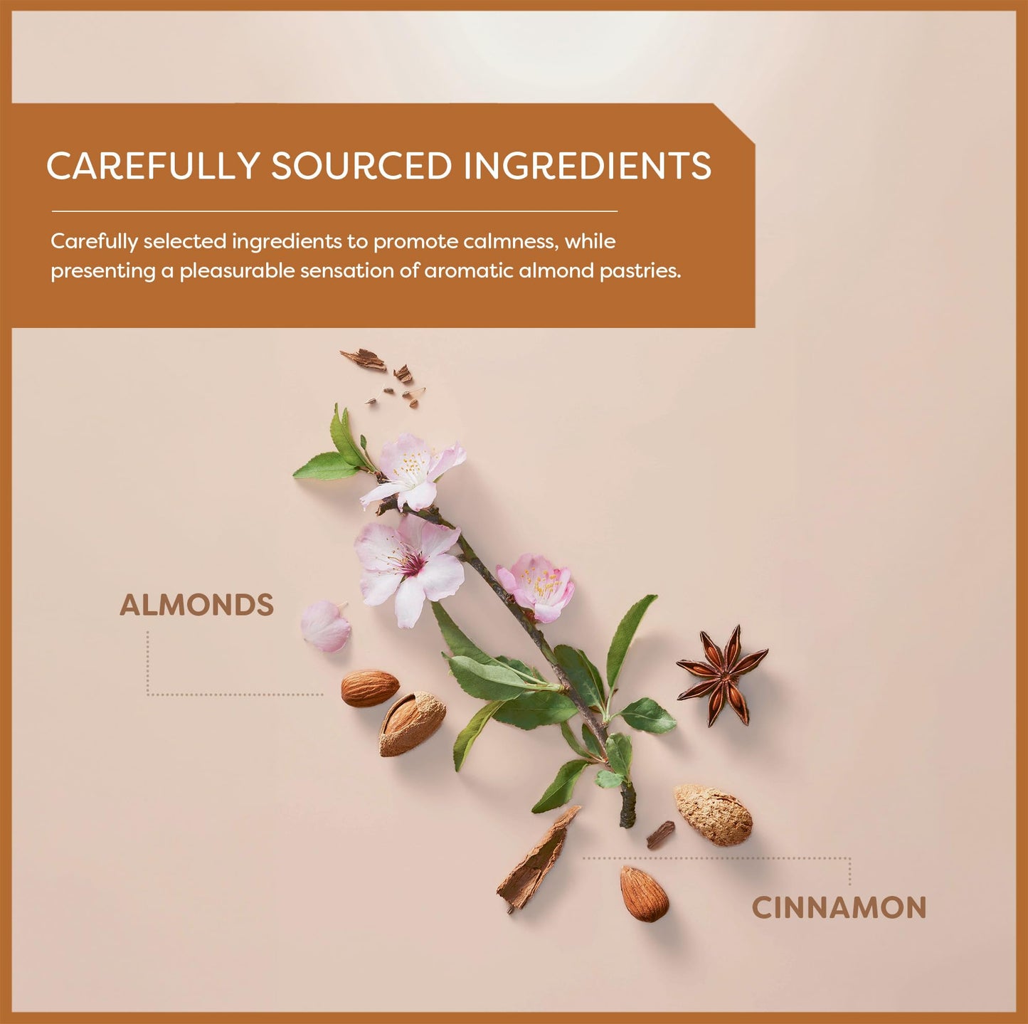 Wissotzky Almond Charm Herbal Tea Bags, Caffeine Free, 20 Count, Delicious Aroma