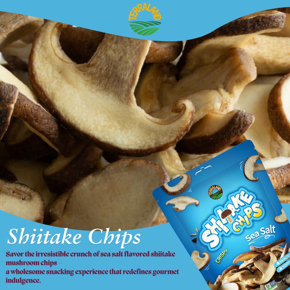 Terraland Shiitake Chips - Sea Salt, Crispy & Crunch Mushroom Snack, Non Gmo, Vegan, Topping For Salads And Soups 2.12Oz Bag - P