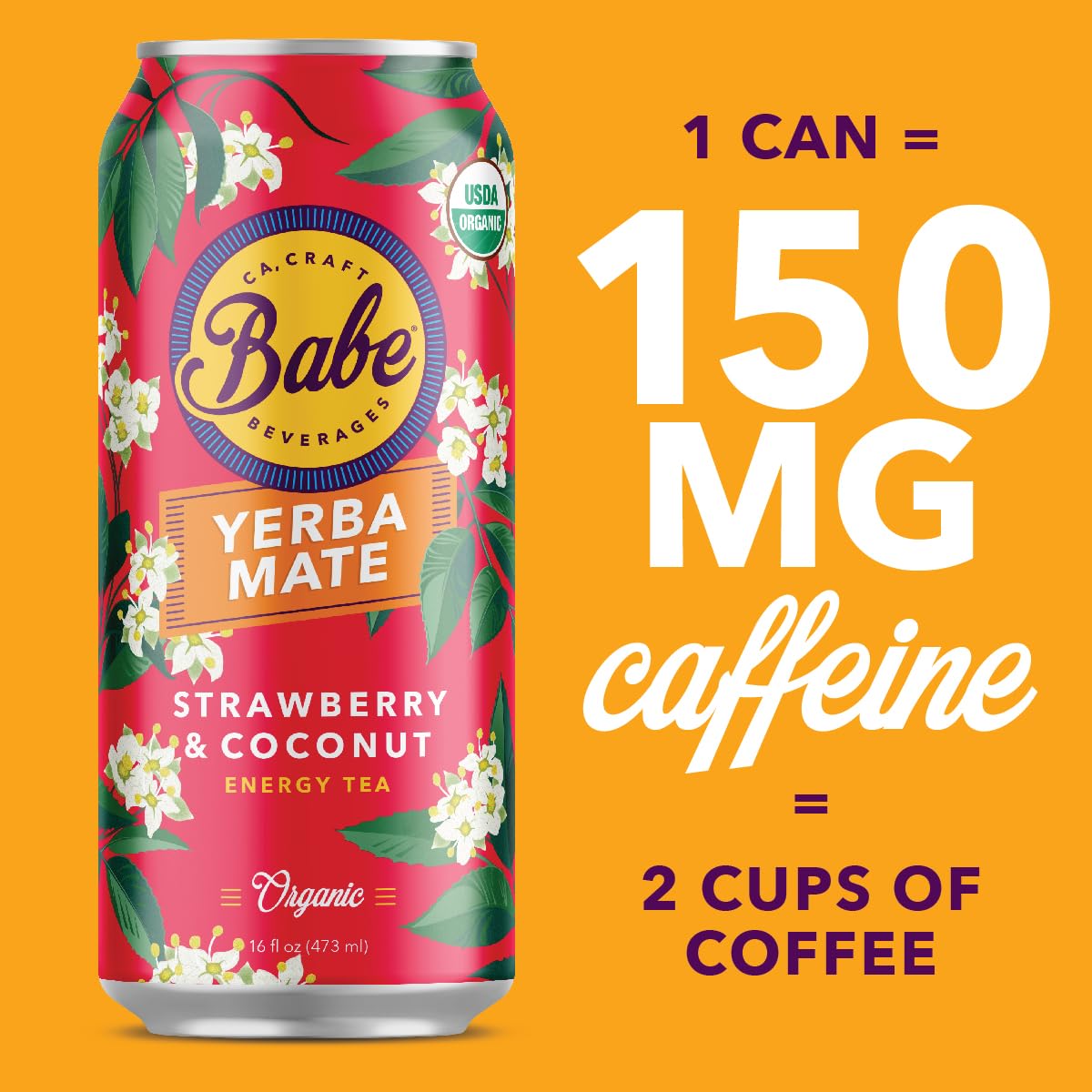 Babe Beverages Organic Yerba Mate Energy Drinks, 150mg Caffeine, Variety Pack (12 x 16oz Cans)