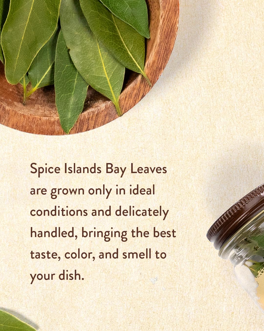 Spice Islands Organic Bay Leaves, .14 Ounce