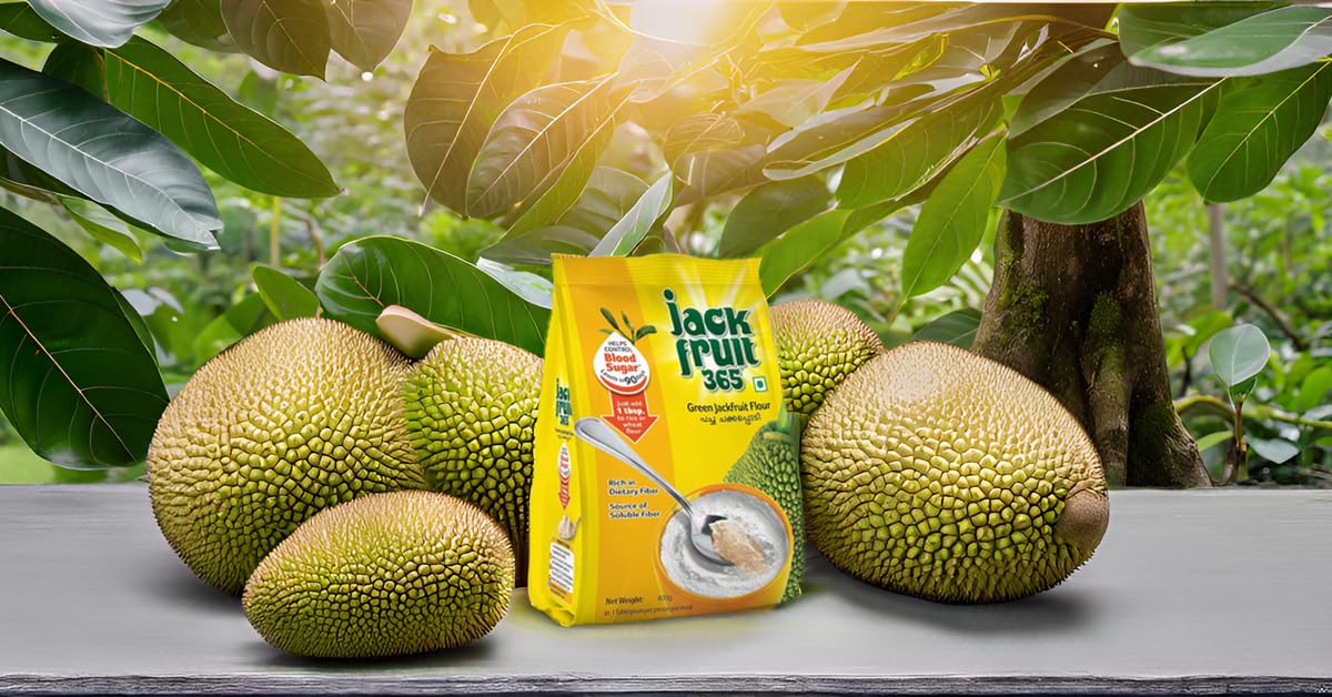 Jackfruit365 Green Jackfruit Flour | Helps in Blood Sugar Control | Organic Low Glycemic | 400g (Pack of 1)