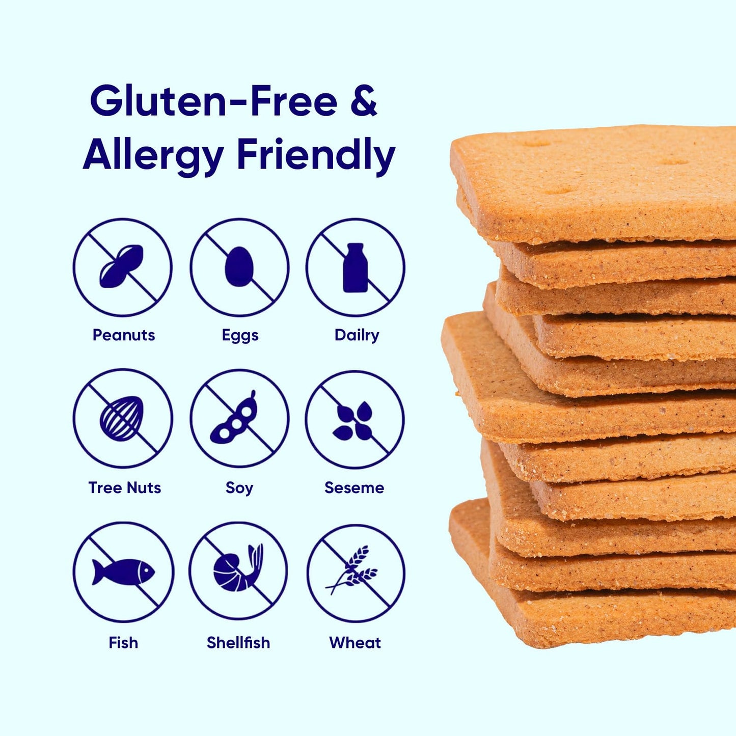 Gluten Free Partake Graham Crackers - Vegan - Free From the Top 9 Allergens Including Dairy, Wheat, Soy, Eggs, & Peanuts - Non G