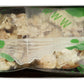 Tosi - Superbites Cashew - Case of 12-2.4 OZ(D0102HX233G.)