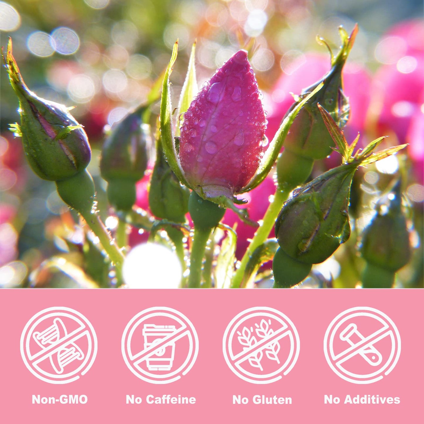 Olvvla - Dried Rose Bud For Fragrant Herbal Tea - 3.52Oz/100G - Delicate Sweet And Refreshing - Natural Pink Rosebud Flower For