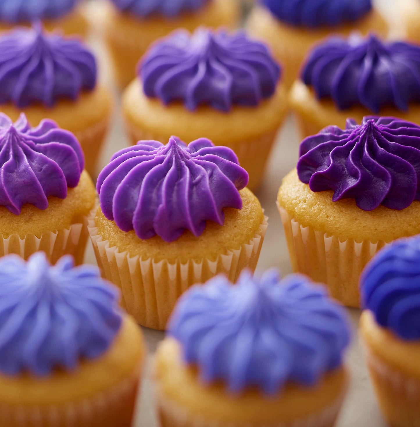 Wilton Icing Color Gel Food Coloring, 1 Ounce, Violet