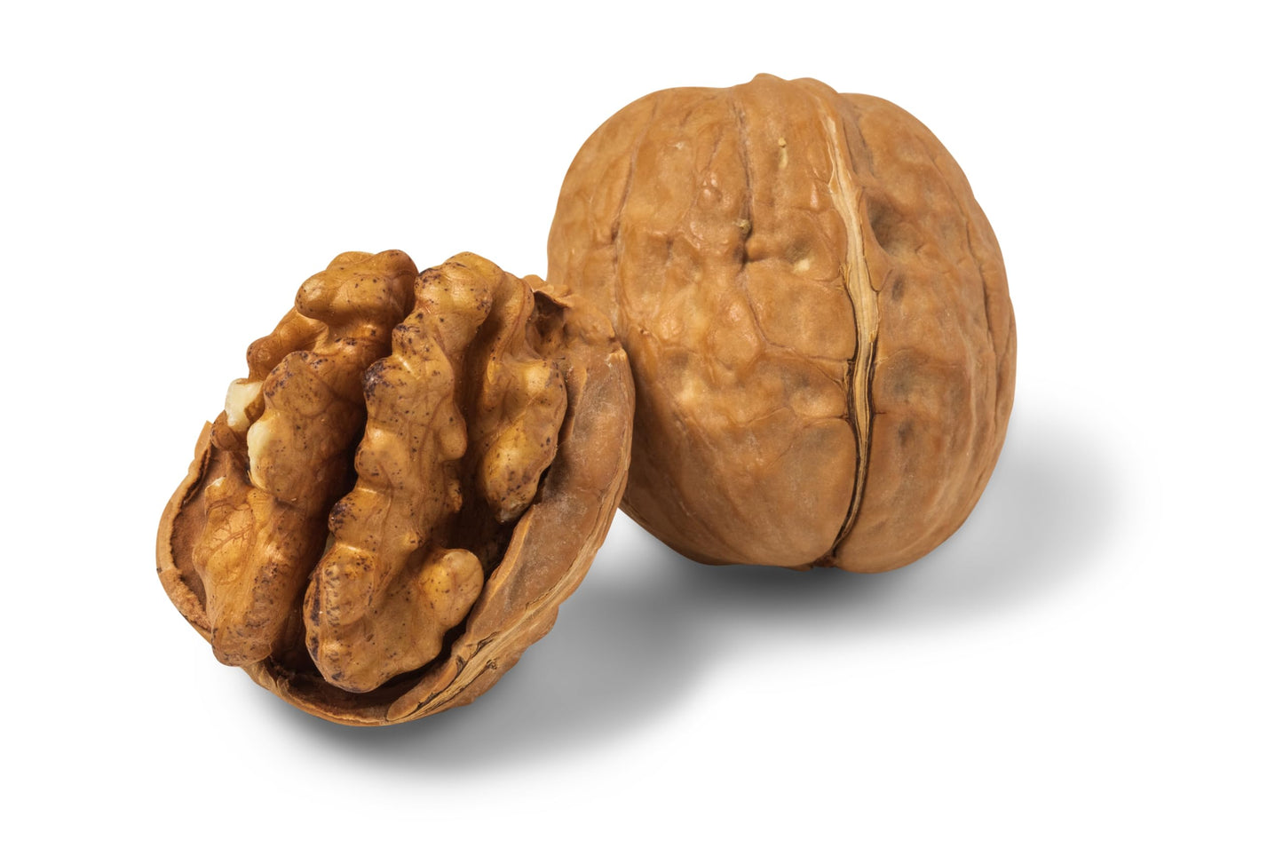 Nuts.com Whole Walnuts in Shell - Fresh Unshelled Raw Walnuts, 2 lbs, Buttery Flavor