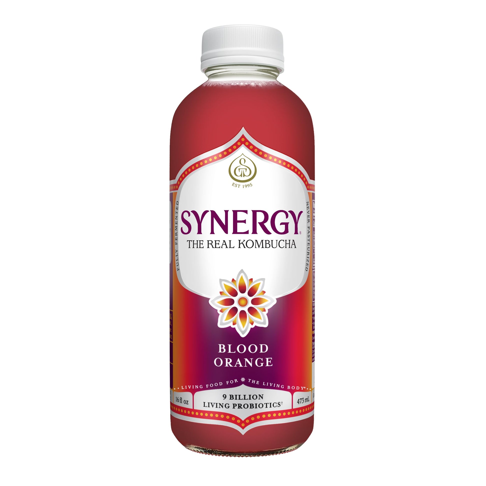 SYNERGY The Real Kombucha - Blood Orange - 16 fl oz Bottle - Raw Probiotic Drink for Gut Health and Immune Support
