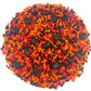 Mystic Sprinkles Graduation Day Sprinkles Mixes (Graduation Day! Black, Orange & Red Sprinkle Mix 3.8Oz)