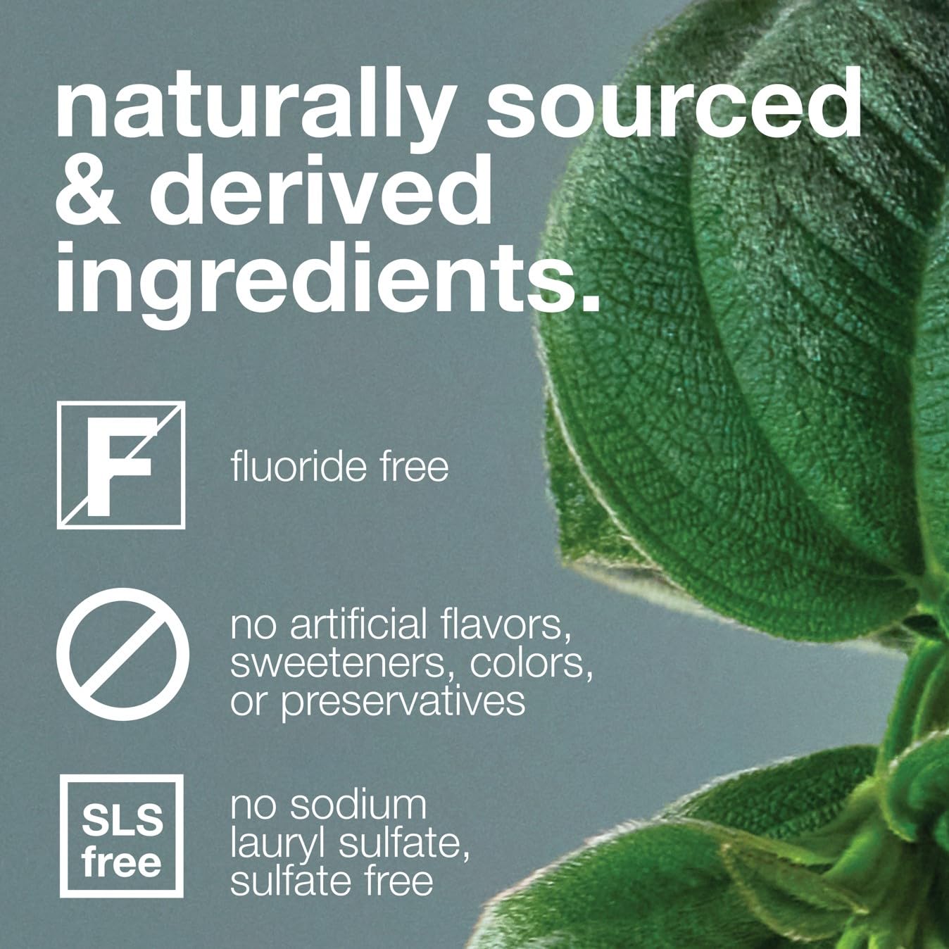 Davids Fluoride Free Toothpaste, Teeth Whitening, Antiplaque, Sls (Sulfate) Free, Promotes Enamel Health, Mouth & Gum Detox, Ewg Verified, Natural Herbal Citrus Mint, 5.25Oz