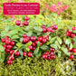 GERBS Dried Cape Cod Cranberries 4 LBS. | Freshly Dehydrated Re-sealable Bulk Bag | Top 14 Food Allergy Free | Sulfur Dioxide Fr