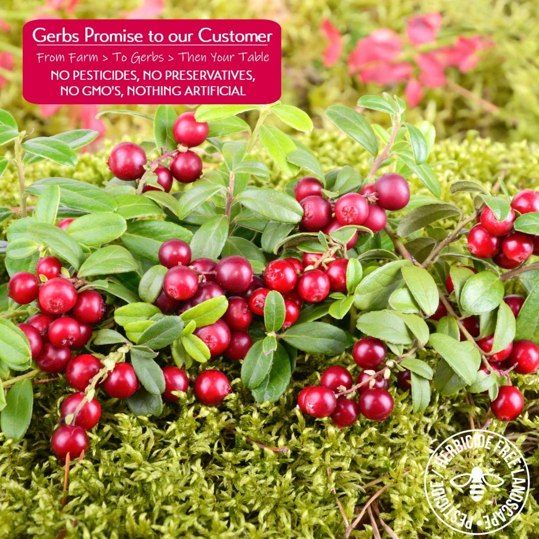 Gerbs Dried Cranberries 2 lbs. | Unsulfured, No Additives, Resealable Bag | Naturally Tart & Juicy | Top 14 Allergen-Free