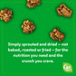 Go Raw Chocolate Peanut Butter Snacking Granola, 8Oz Pouch
