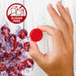 Taboom Sugar Free Hot Cinnamon Hard Candy Discs, 1 lb - Individually Wrapped Red Cinnamon Treats, Approx. 75 Count