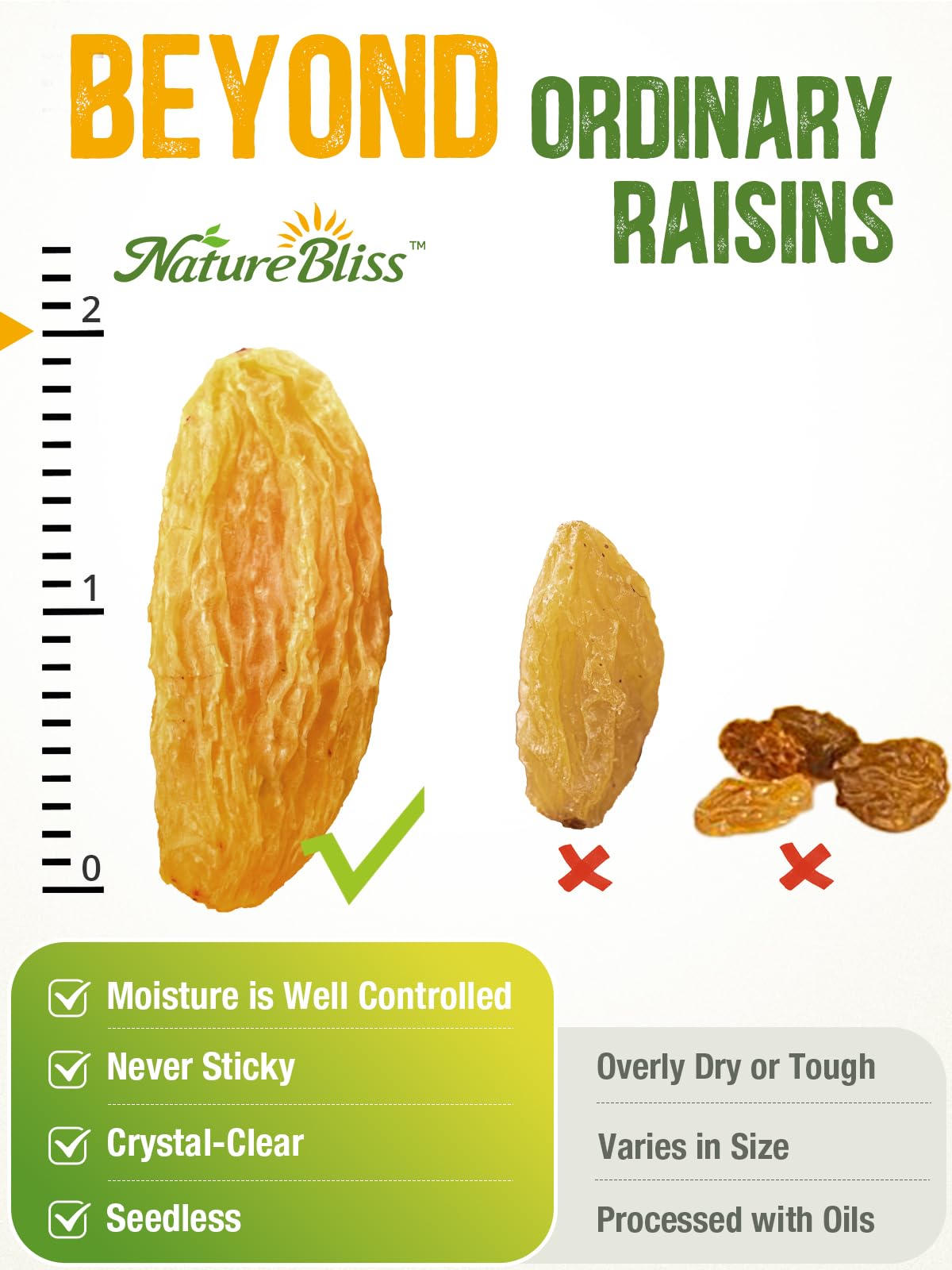 Naturebliss Premium Golden Raisins, Seedless Dried Fruit Snack, No Sugar Added, Non-GMO, 11 Ounce