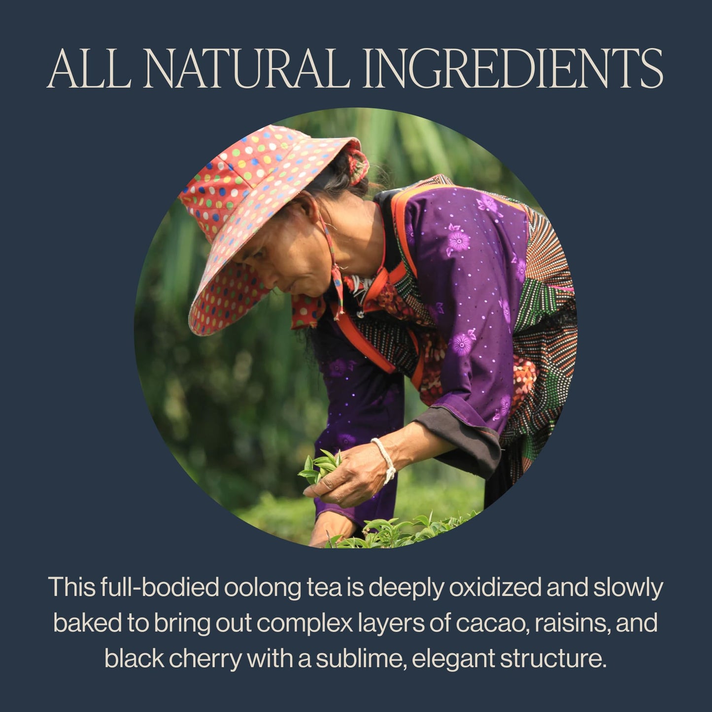 Rishi Tea Ruby Oolong Tea - Organic Caffeinated Sachets, 15 Count, Hot or Iced, Slow Baked Ball Rolled Oolong