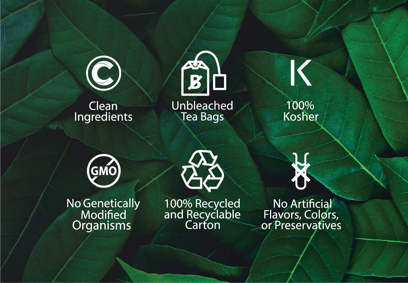Buddha Teas Organic Wild Cherry Bark Tea - OU Kosher, USDA Organic, CCOF, 18 Bleach-Free Tea Bags