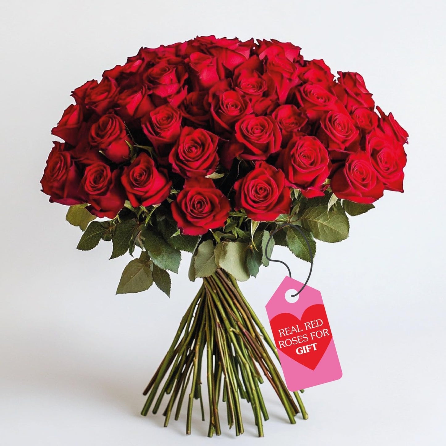 GlobalRose Real Fresh Cut Red Roses - 50 Fresh Flowers - Fresh Flowers Bouquet for Wedding