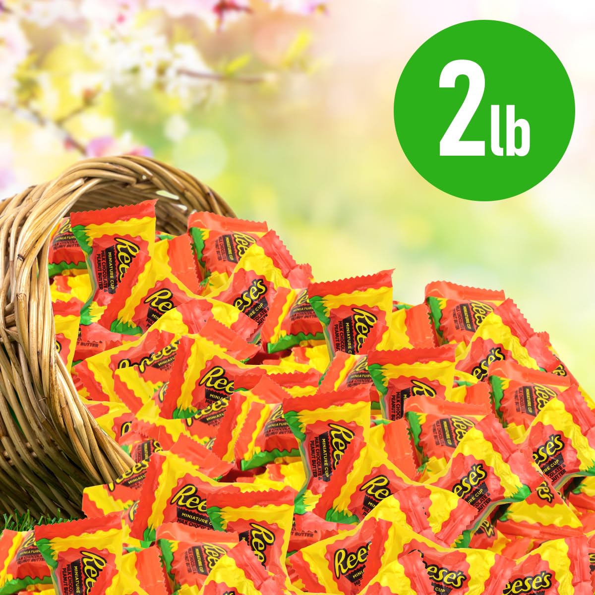 Reeseschocolate Peanut Butter Cups, 2Lb Pack Of Bulk Chocolate Candy, Ideal For Sharing With Family, Friends And Seasonal Festiv