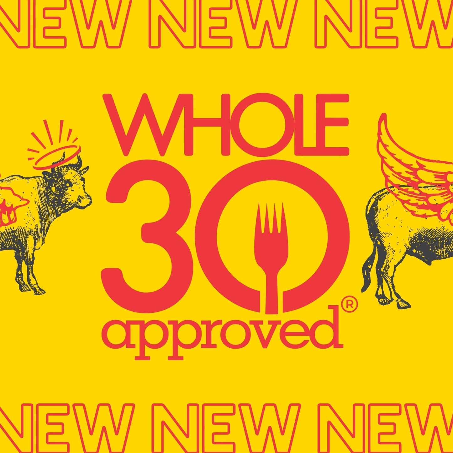 Brooklyn Biltong - Meat Stick Bites - Whole-Wors - Air Dried Grass Fed Beef Snack - Whole30 Approved, Paleo, Keto, Gluten Free,