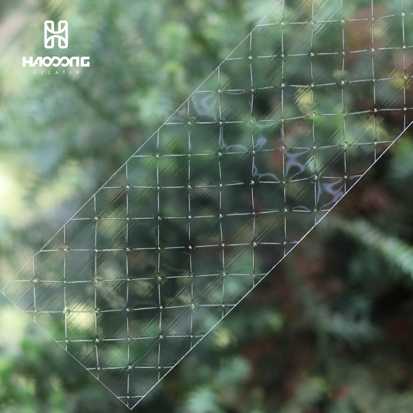 HAODONG Gold Gelatin Sheets - Beef Leaf Gelatin 200 Bloom (40g, 18-20Sheets) for Baking Desserts Mirror Glaze Mousse Cake